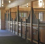 sm barn - stalls