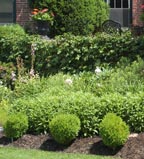 sm land des - front plant