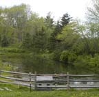 sm master plan-creek